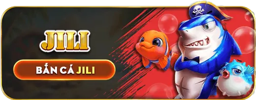 Tổng quan về nền tảng cá cược Jili